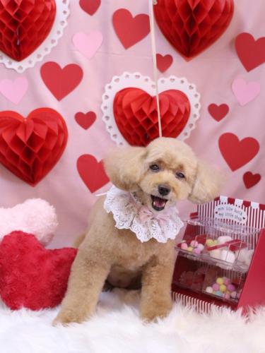 20240201モンチちゃん